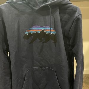 Men’s Patagonia Hoodie in Royal Blue